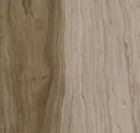 Grey Pine
