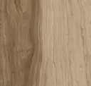Sequoia