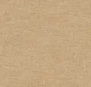 Peanut Shell