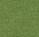Grassy Meadow