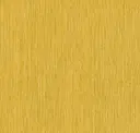 Buzzy Yellow