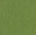 Grassy Meadow