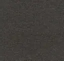 Shale