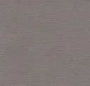 Ash Gray