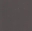 Gunmetal