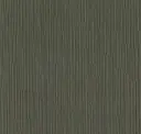 Spruce