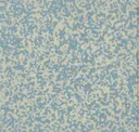 Blue (508)