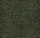 Palm Leaf