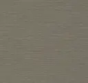 Raw Umber