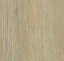2504