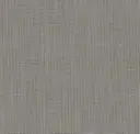 Grey Merino