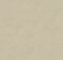Parchment