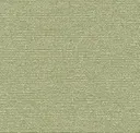 Pistachio