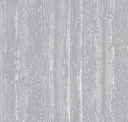 Silverish Reverse