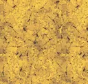 Indian Gold