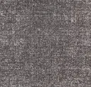 Sea209-263 Mussel