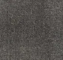 Sea133-13 Grey Seal
