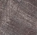 Lnd209-263 Mussel