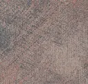 Lnd153-261 Scallop