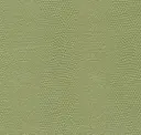 Komodo