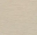 White Room