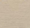 Sandman