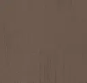 Burnished Copper