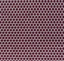 Summer Plum