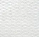 Winter White