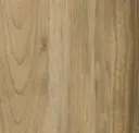 Sycamore Vanilla