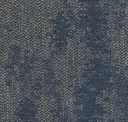 Grey Whale
