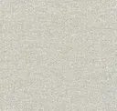 Ostrich Feather