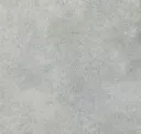 Arctic Ice