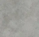 Silver Dollar