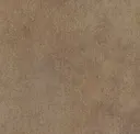 Penny