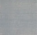 Blue Fin