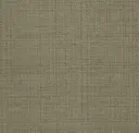 Earthy Ocher
