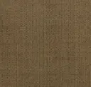 Nutmeg
