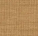 Gold Veneer