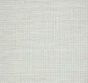 Edgy White