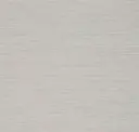 Sleet