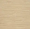 Sahara
