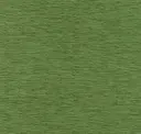 Grasshopper