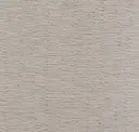 Grey Wolf
