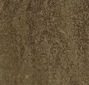 Bronzite