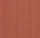 Pumpkin Spice
