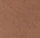 Terra-Tory