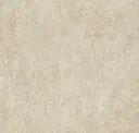 Star Dust