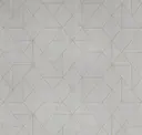 Silver Satin