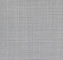 Silver Satin